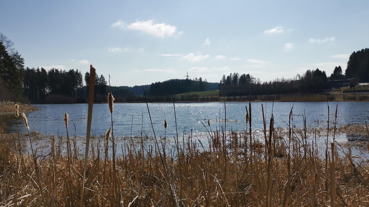 pond-4968699_1280_169