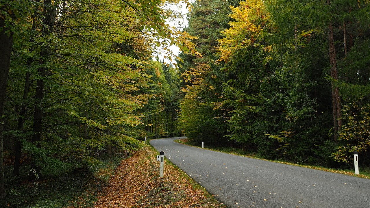 road-2838671_1280_169